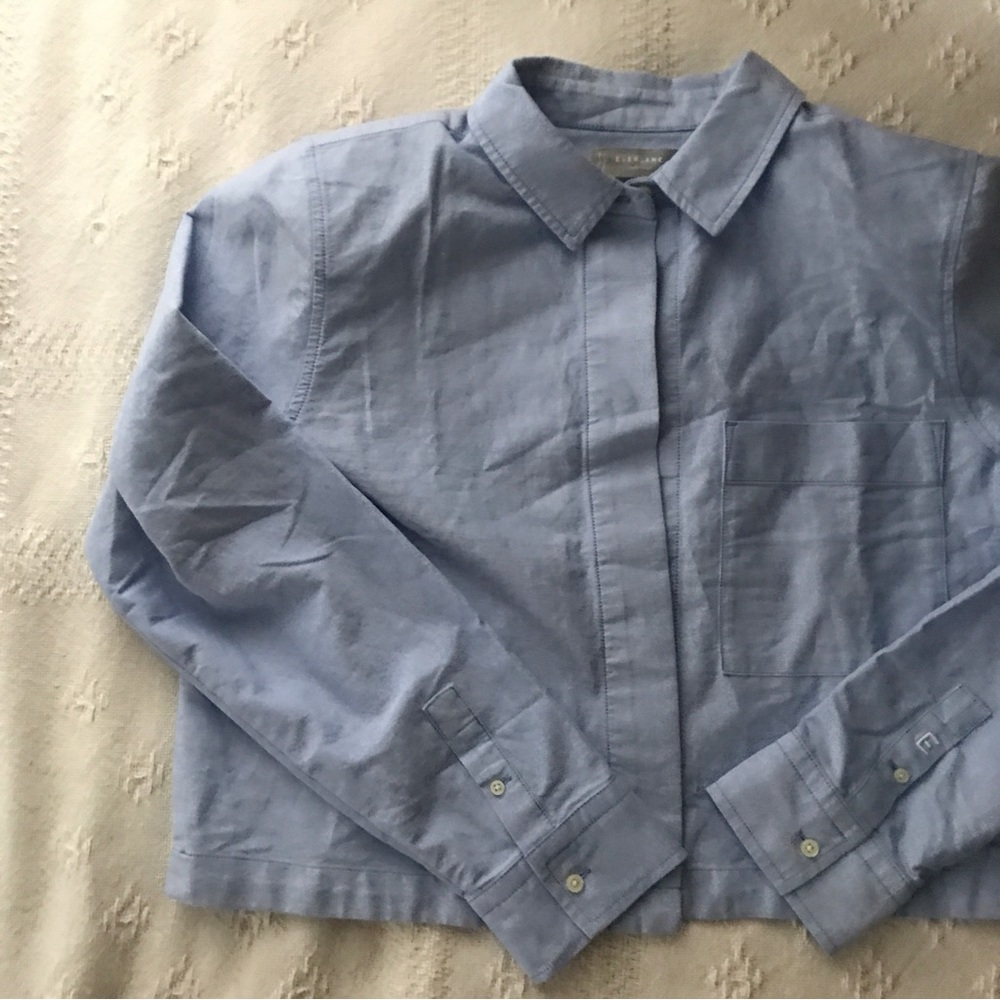 EVERLANE The Cropped Oxford Shirt
